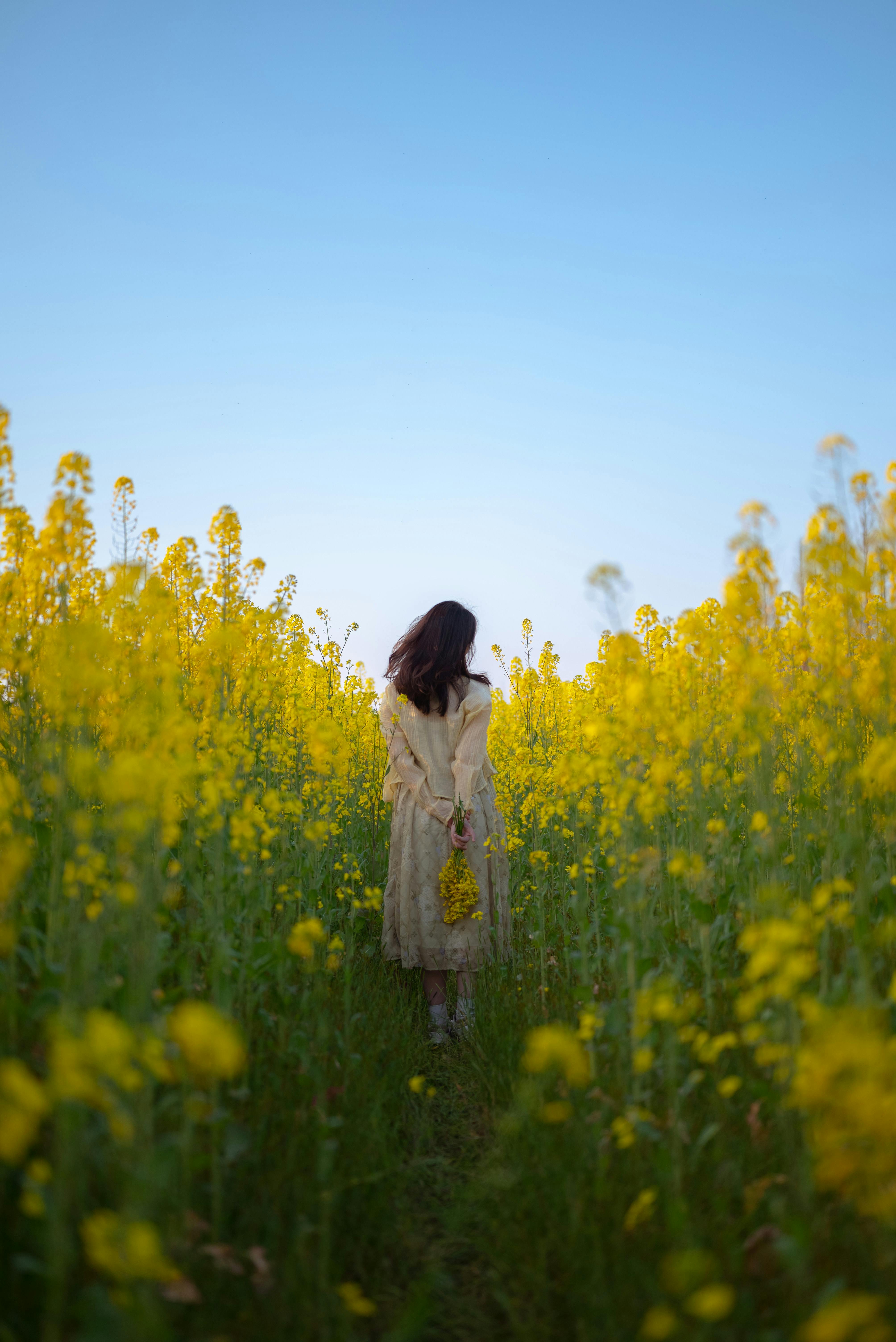 开心麻花电影演员形象图 2
