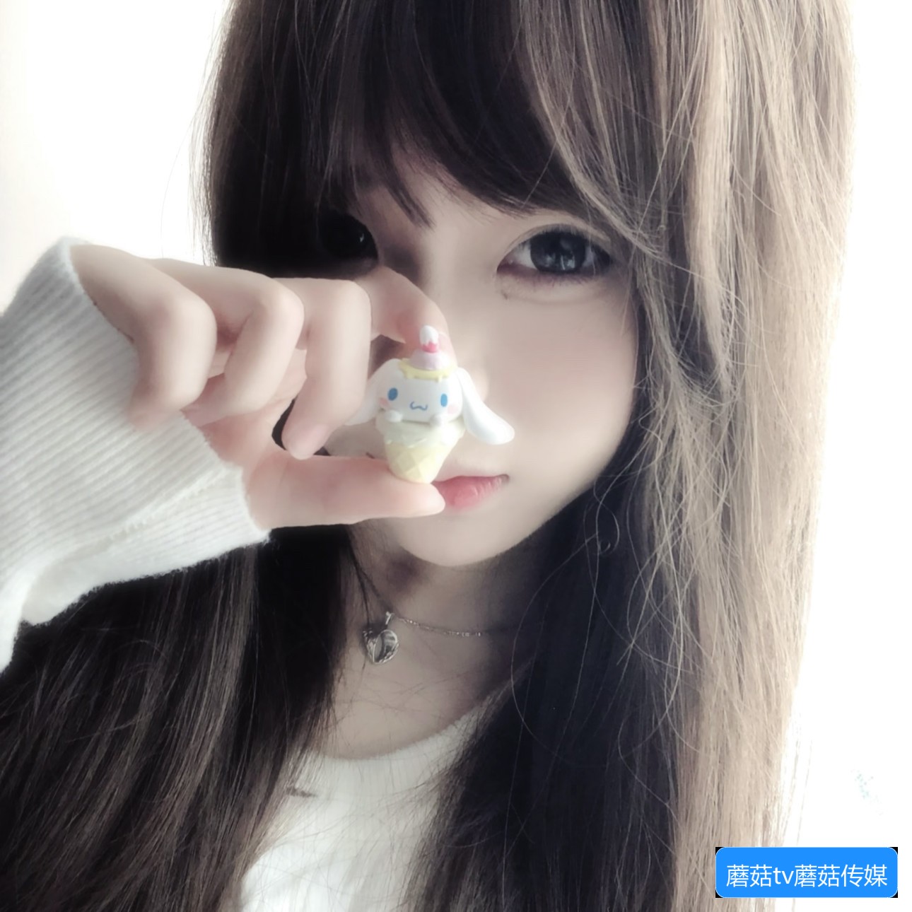 蘑菇TV官网有哪些功能和使用方法介绍