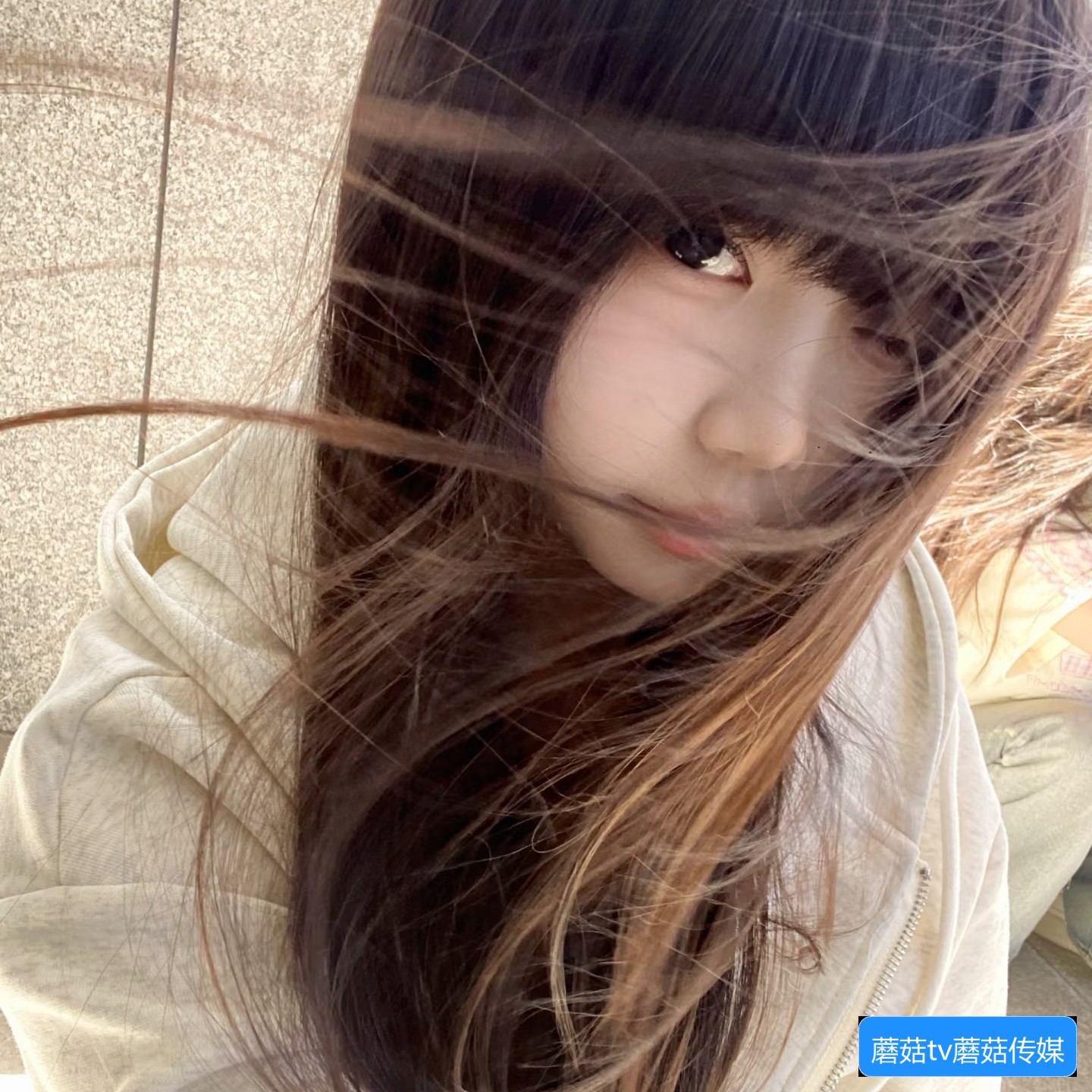 蘑菇TV网页出现三秒跳转问题该怎么解决？